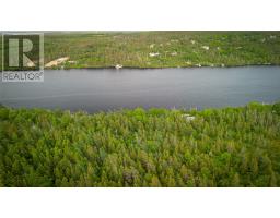 40 Lawrence Pond Road W, Conception Bay South, NL A1X4C5 Photo 7