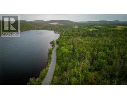 38 Lawrence Pond Road W, Conception Bay South, NL A1X4C5 Photo 4
