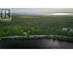 36 Lawrence Pond Road W, Conception Bay South, NL A1X4C5 Photo 3