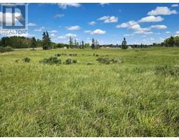 32059 Willow Way, Rural Rocky View County, AB T4C2Y4 Photo 6