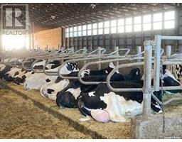 Zomer Dairy, Rosthern Rm No 403, SK S0K2H0 Photo 5