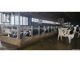 Zomer Dairy, Rosthern Rm No 403, SK S0K2H0 Photo 6