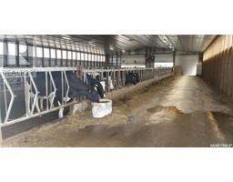 Zomer Dairy, Rosthern Rm No 403, SK S0K2H0 Photo 3