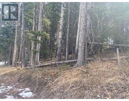 162 Woodfrog Way, Rural Mountain View County, AB T0M1X0 Photo 2