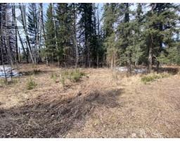 162 Woodfrog Way, Rural Mountain View County, AB T0M1X0 Photo 5
