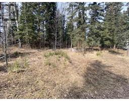 162 Woodfrog Way, Rural Mountain View County, AB T0M1X0 Photo 3
