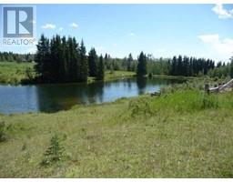 175 Woodfrog Way, Rural Mountain View County, AB T0M1X0 Photo 7