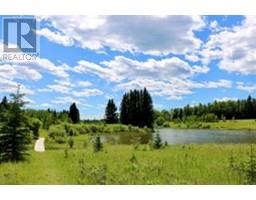 176 Wood Frog Way Way, Rural Mountain View County, AB T0M1X0 Photo 2