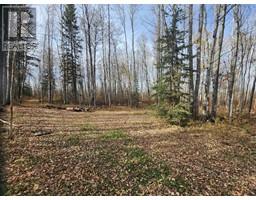 195055 Township Road 665 A, Rural Athabasca County, AB T9S2A3 Photo 2