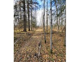 195055 Township Road 665 A, Rural Athabasca County, AB T9S2A3 Photo 7