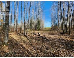 195055 Township Road 665 A, Rural Athabasca County, AB T9S2A3 Photo 4