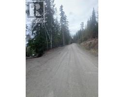 Lot 41 Klondike Trail, Anglemont, BC V0E1M8 Photo 5
