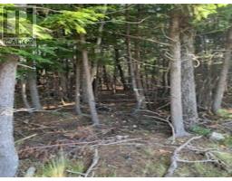 18 Acres Highway 256, West Branch, NS B0K1R0 Photo 2