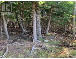 18 Acres Highway 256, West Branch, NS B0K1R0 Photo 7