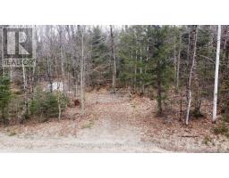 203 North Baptists Lake Rd, Hastings Highlands, ON K0L2S0 Photo 2