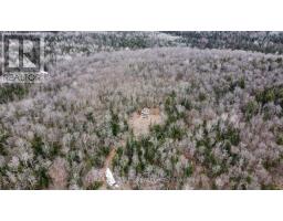 203 North Baptists Lake Rd, Hastings Highlands, ON K0L2S0 Photo 3