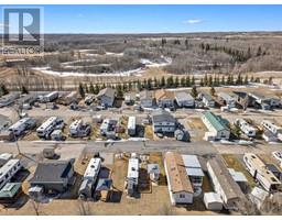 3009 25074 South Pine Lake Road, Rural Red Deer County, AB T0M1S0 Photo 5