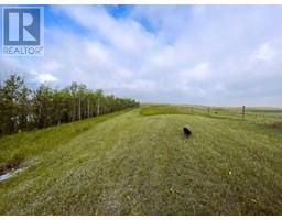 9023 Highway 41, Rural Cypress County, AB T0J1C0 Photo 7