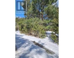 Lot 4 Butterfly Lake Road, Port Carling, ON P0B1J0 Photo 6