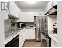 Other - 302 2611 15 A Street Sw, Calgary, AB T2T4C1 Photo 5