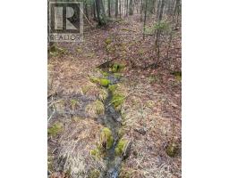 00 Musclow Greenview Rd, Hastings Highlands, ON K0L1C0 Photo 2