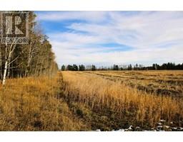 Township Road 354, Rural Clearwater County, AB T0M0M0 Photo 3