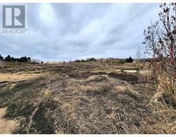 Lot 23 26553 11 Highway, Rural Red Deer County, AB T4E1A5 Photo 3