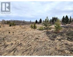 Lot 24 26553 11 Highway, Rural Red Deer County, AB T4E1A5 Photo 4