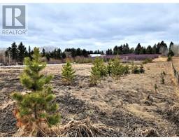 Lot 24 26553 11 Highway, Rural Red Deer County, AB T4E1A5 Photo 3