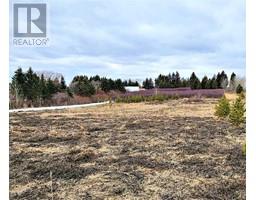 Lot 24 26553 11 Highway, Rural Red Deer County, AB T4E1A5 Photo 2