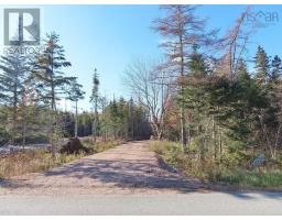 Lot 8 4 Highway Lower River Road Road, Cleveland, NS B0E1J0 Photo 2