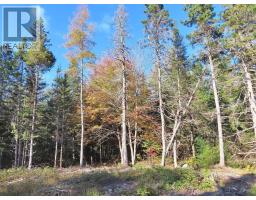 Lot 8 4 Highway Lower River Road Road, Cleveland, NS B0E1J0 Photo 3