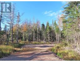 Lot 8 4 Highway Lower River Road Road, Cleveland, NS B0E1J0 Photo 6
