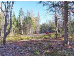 Lot 8 4 Highway Lower River Road Road, Cleveland, NS B0E1J0 Photo 7