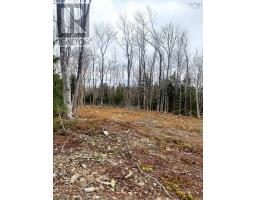 Lot 39 Ocean View Drive, Two Islands, NS B0M1S0 Photo 6