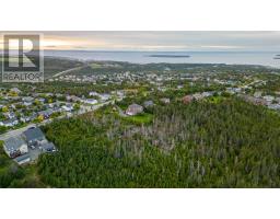 329 339 Fowlers Road, Conception Bay South, NL A1W4J1 Photo 6