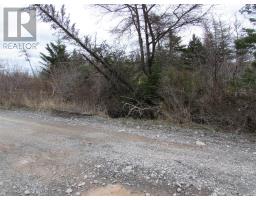 45 New Line Road, Colliers, NL A0A1Y0 Photo 2