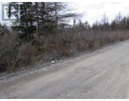 45 New Line Road, Colliers, NL A0A1Y0 Photo 5