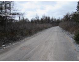 45 New Line Road, Colliers, NL A0A1Y0 Photo 6