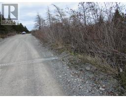 45 New Line Road, Colliers, NL A0A1Y0 Photo 7