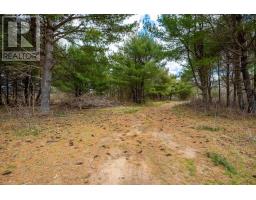 Lot 2021 Central Avenue, Greenwood, NS B0P1N0 Photo 2