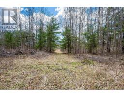 Lot 2021 Central Avenue, Greenwood, NS B0P1N0 Photo 4