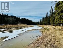 64067 Township Road 38 0 A, Rural Clearwater County, AB T4T2A3 Photo 2