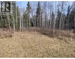 161 Woodfrog Way, Rural Mountain View County, AB T0M1X0 Photo 4
