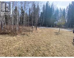 161 Woodfrog Way, Rural Mountain View County, AB T0M1X0 Photo 6