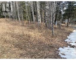 161 Woodfrog Way, Rural Mountain View County, AB T0M1X0 Photo 5