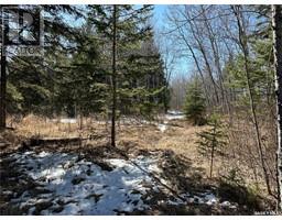 Recreation Land Mont Nebo, Canwood Rm No 494, SK S0J1X0 Photo 4