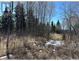 Recreation Land Mont Nebo, Canwood Rm No 494, SK S0J1X0 Photo 5