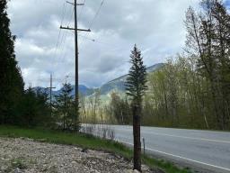 25685 Trans Canada Highway, Hope, BC V0X1L3 Photo 7