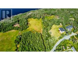 1 11 Goldsworthys Road, Pouch Cove, NL A0A3L0 Photo 3